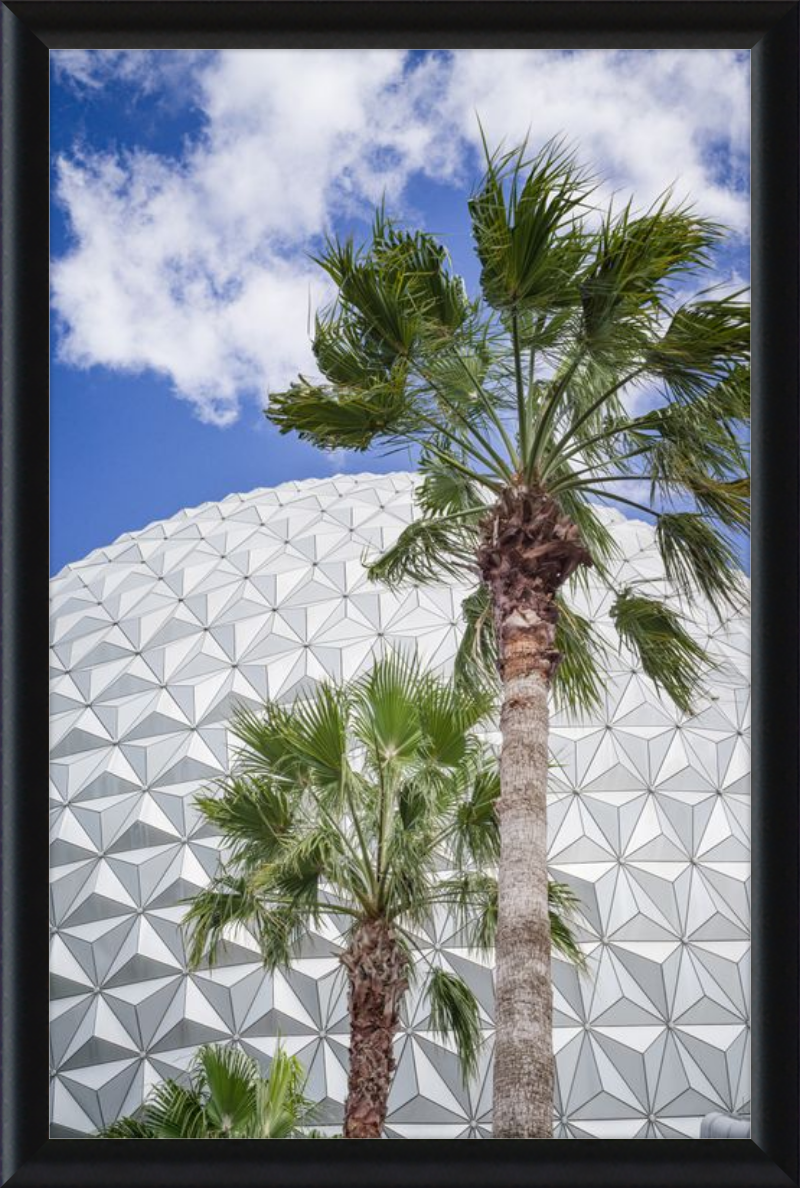 Spaceship Earth with Palms - A Tropical View of EPCOT