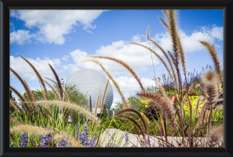 Spaceship Earth - EPCOT from the Gardens