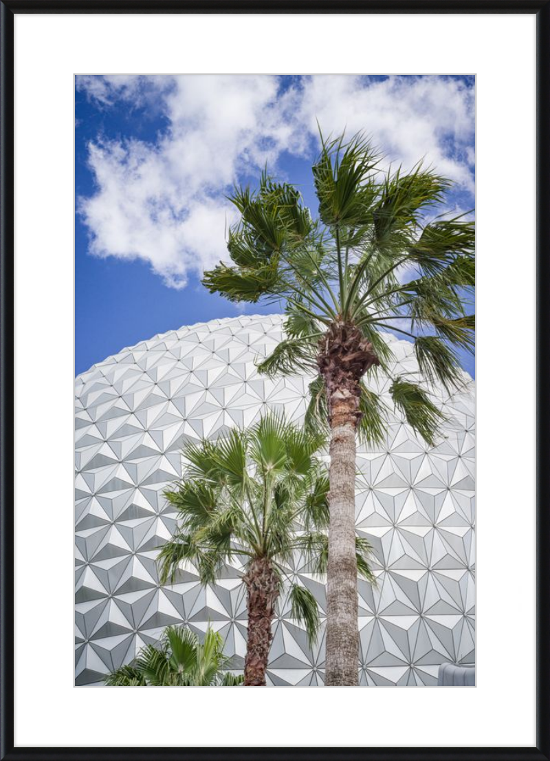 Spaceship Earth with Palms - A Tropical View of EPCOT