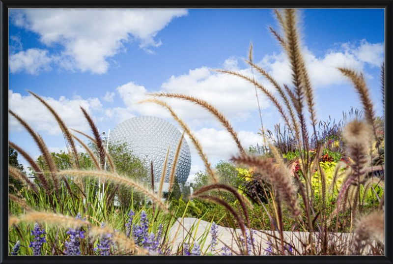 Spaceship Earth - EPCOT from the Gardens