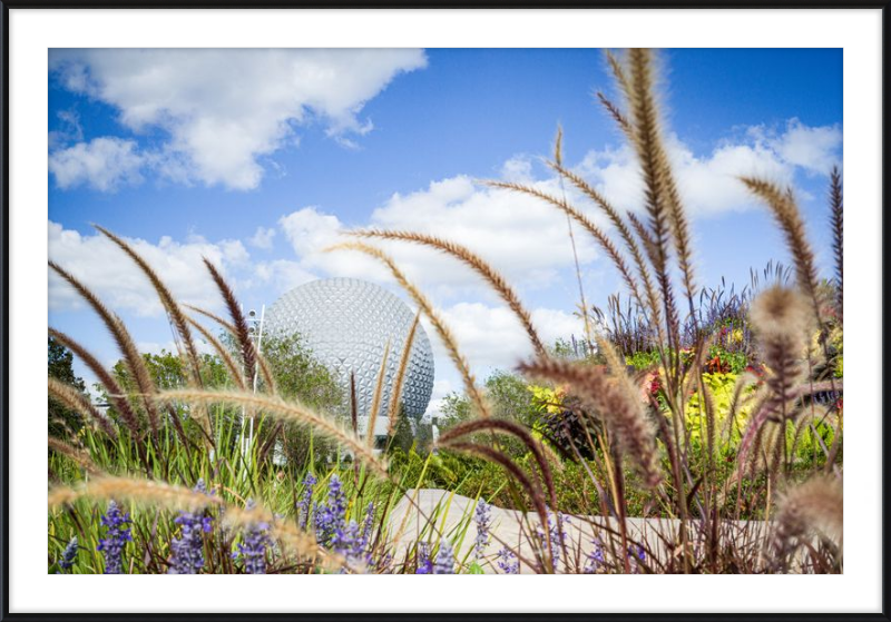 Spaceship Earth - EPCOT from the Gardens