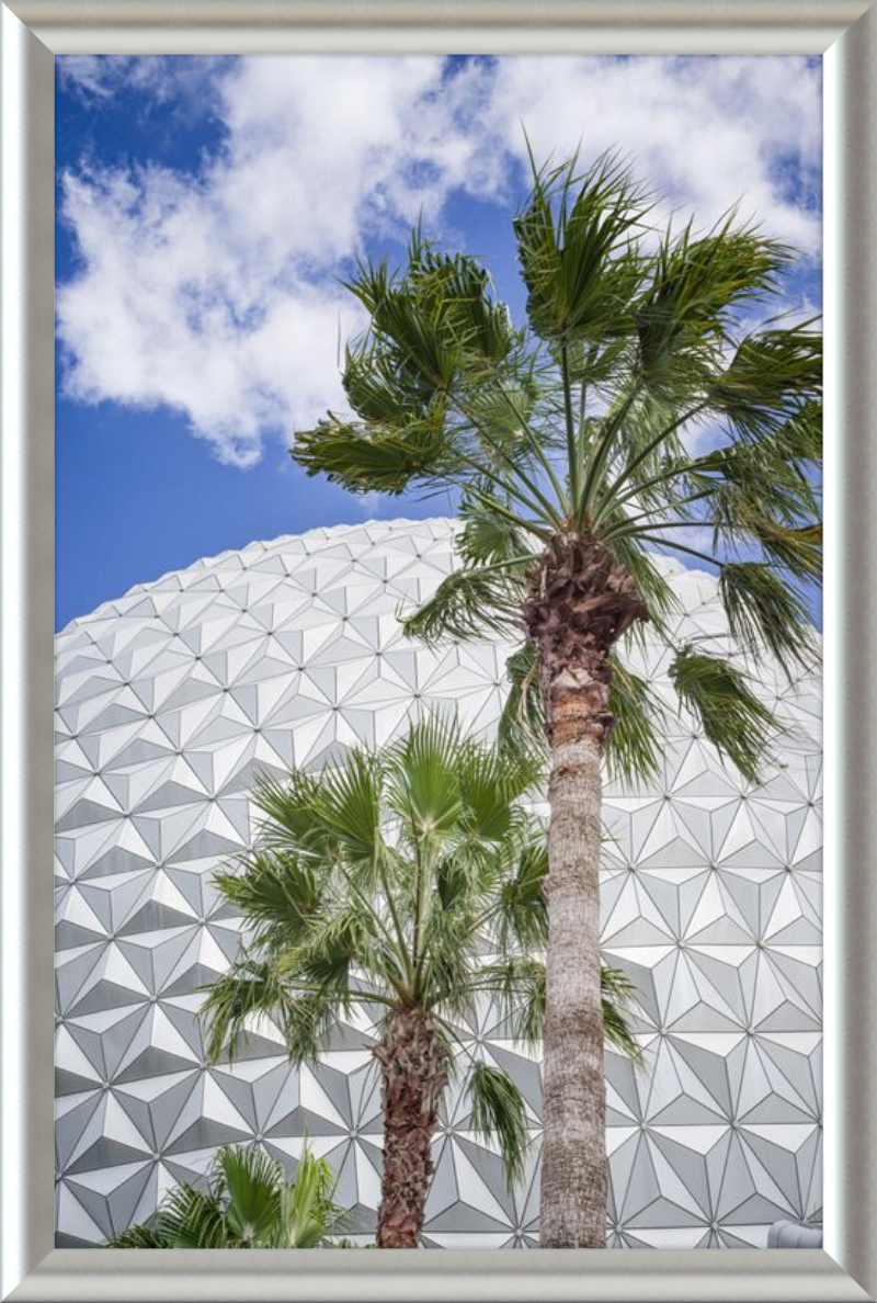 Spaceship Earth with Palms - A Tropical View of EPCOT