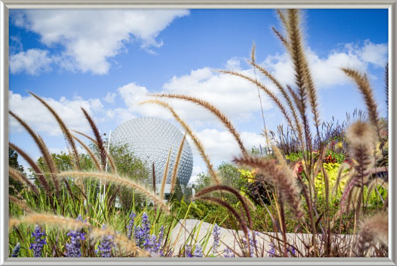 Spaceship Earth - EPCOT from the Gardens