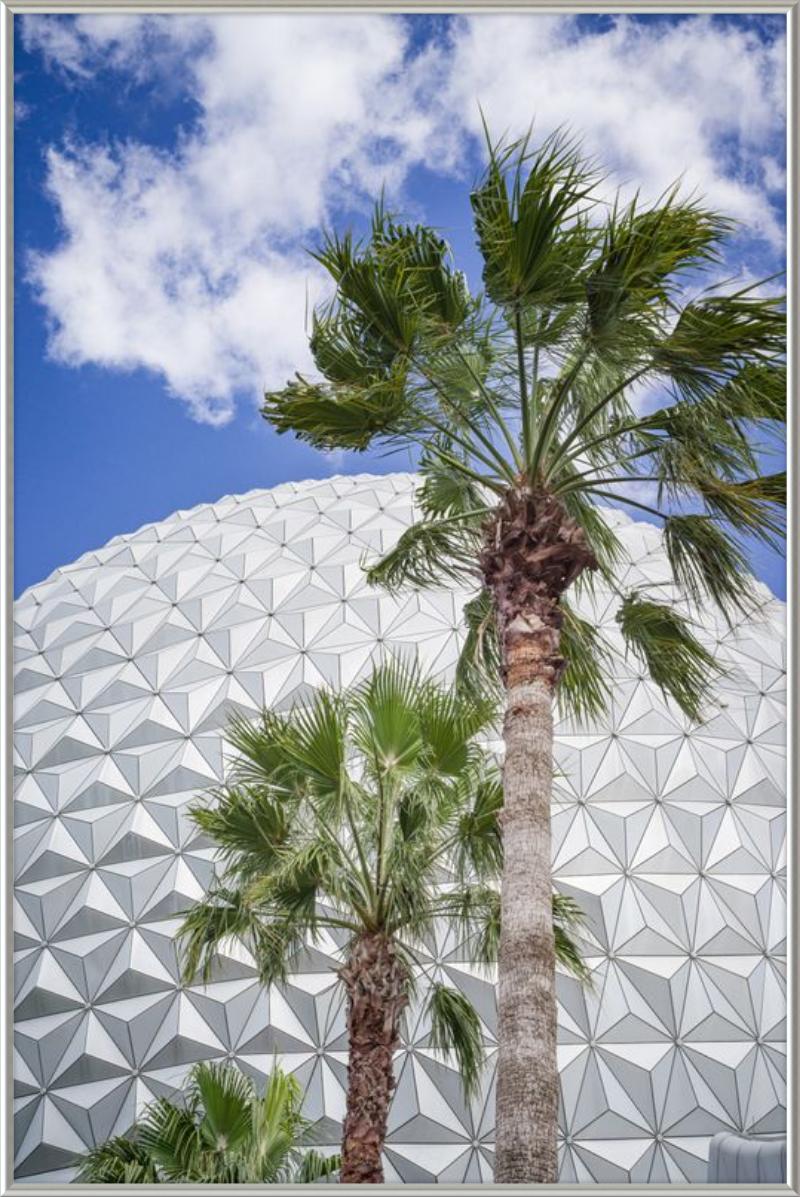 Spaceship Earth with Palms - A Tropical View of EPCOT