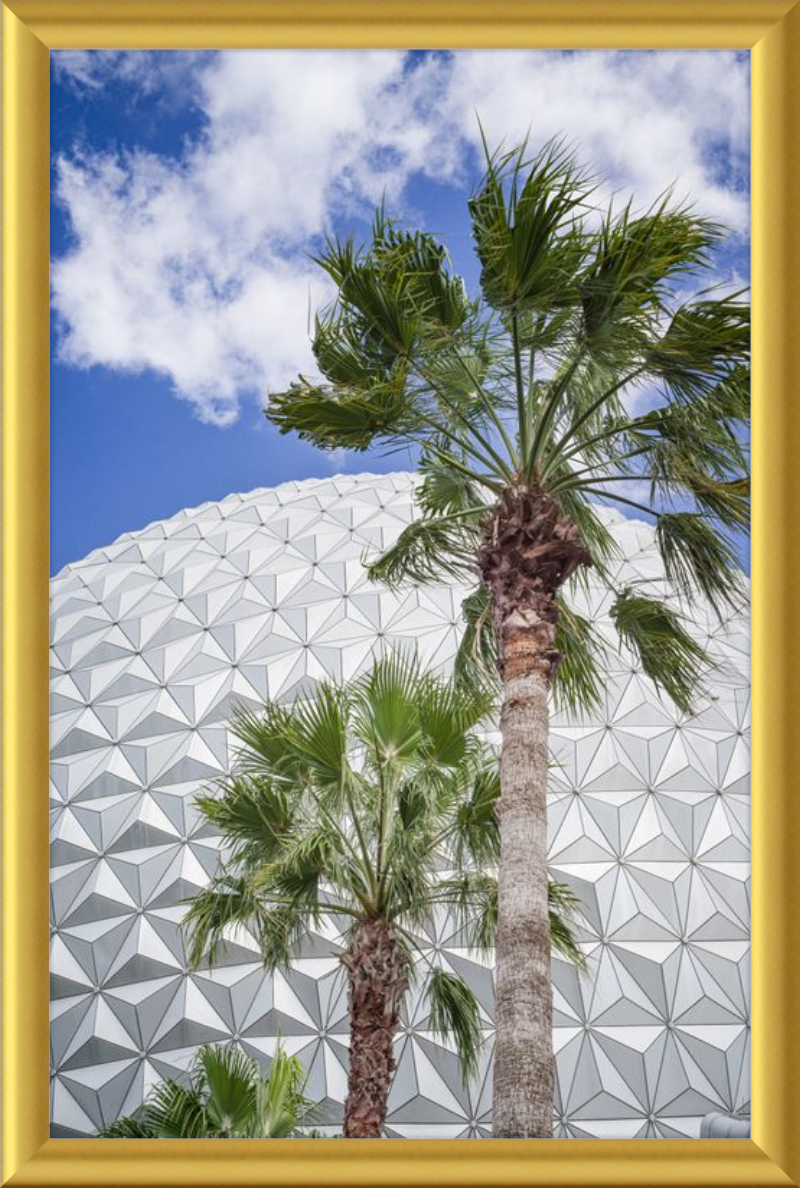 Spaceship Earth with Palms - A Tropical View of EPCOT