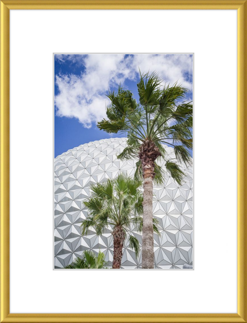 Spaceship Earth with Palms - A Tropical View of EPCOT