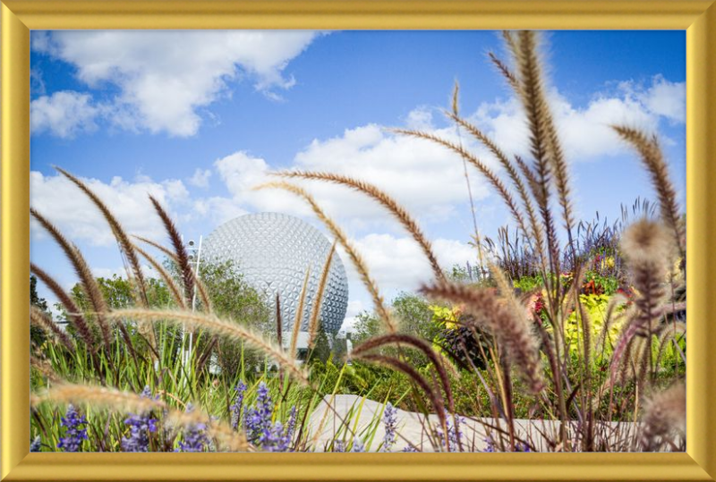 Spaceship Earth - EPCOT from the Gardens