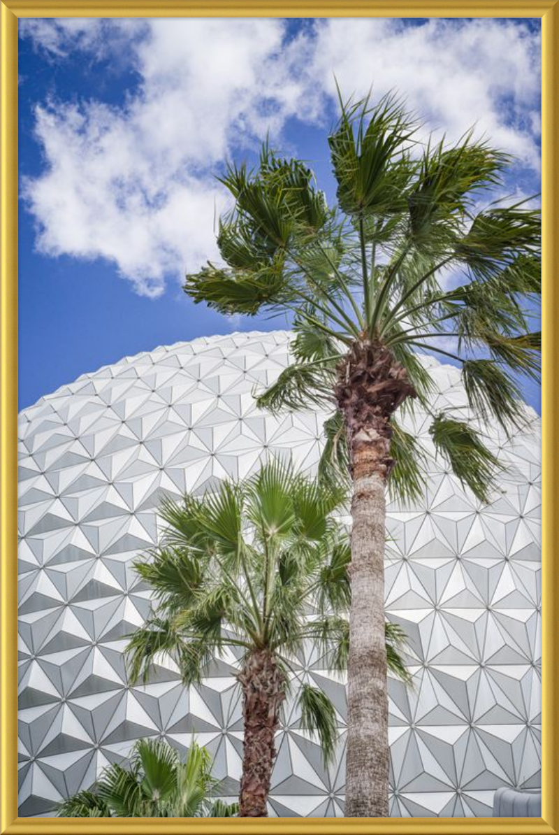 Spaceship Earth with Palms - A Tropical View of EPCOT