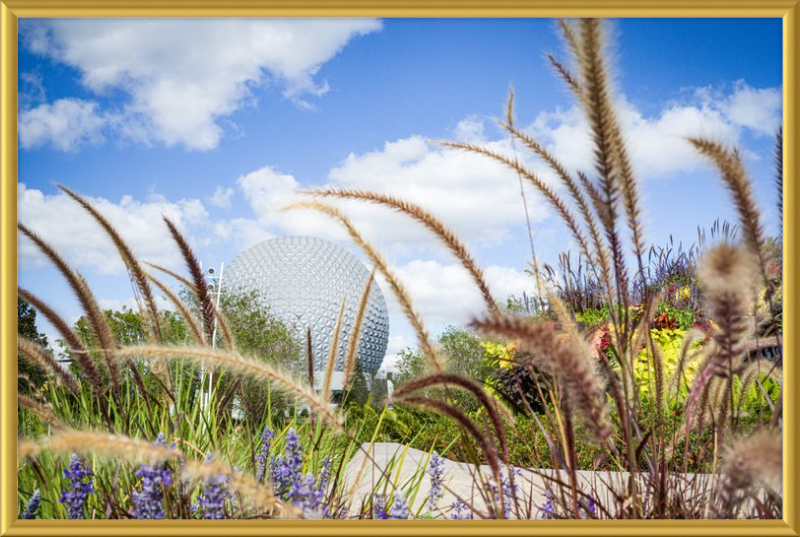 Spaceship Earth - EPCOT from the Gardens