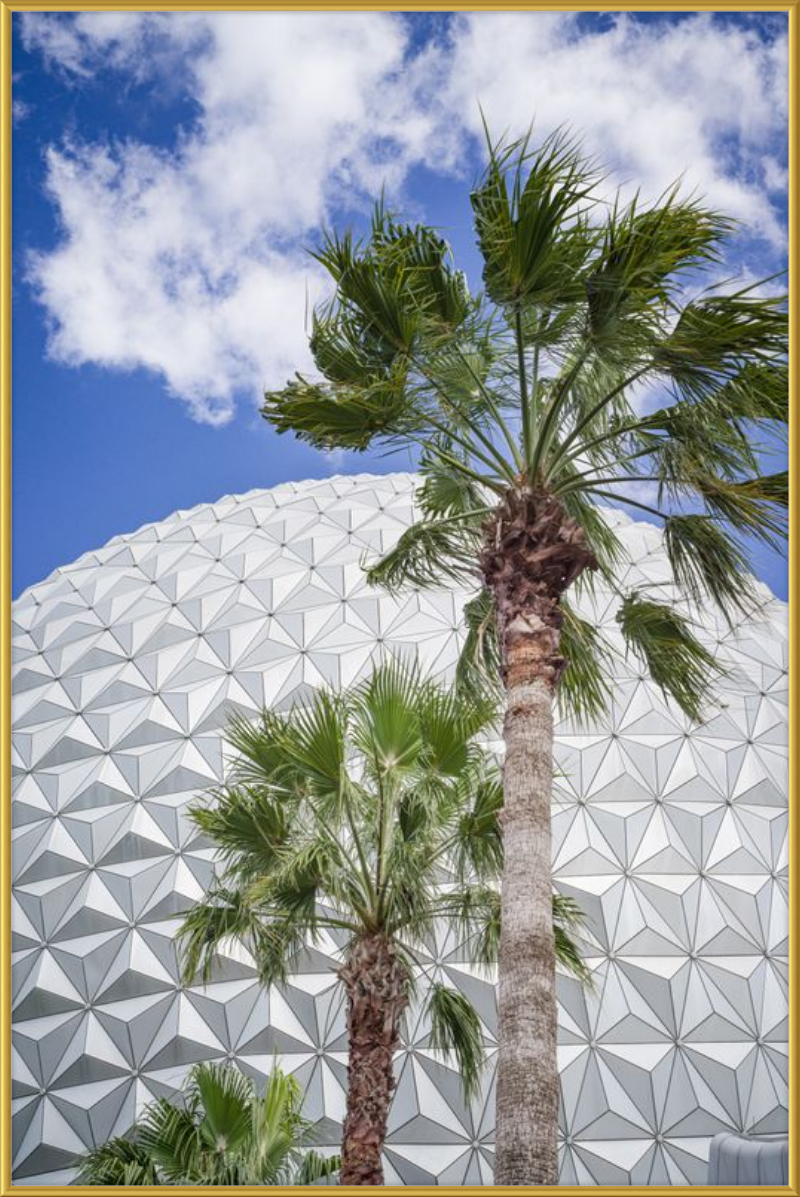 Spaceship Earth with Palms - A Tropical View of EPCOT