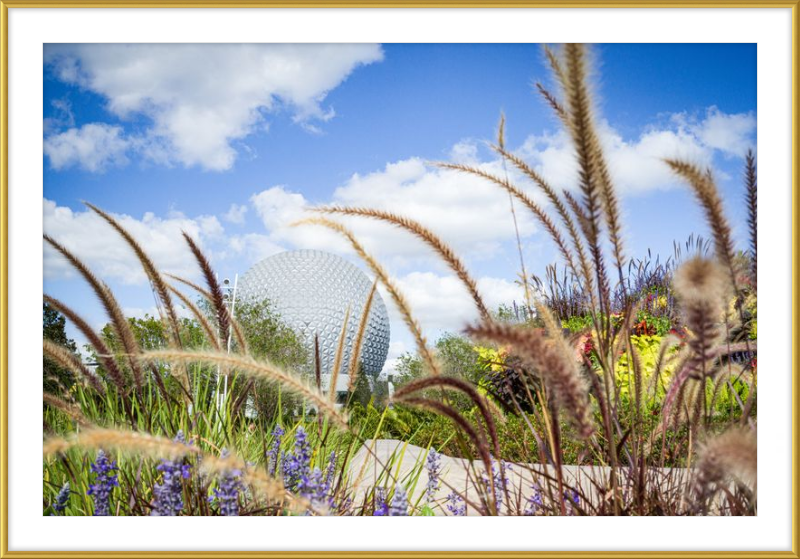 Spaceship Earth - EPCOT from the Gardens