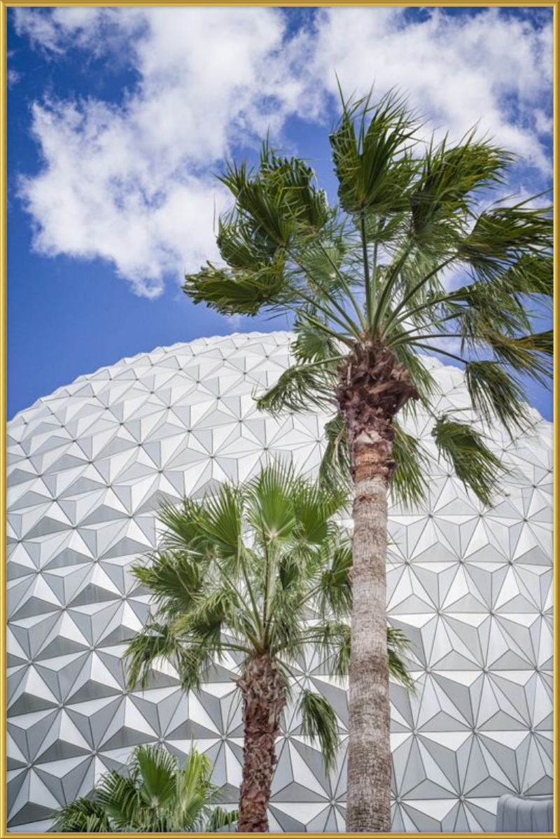 Spaceship Earth with Palms - A Tropical View of EPCOT