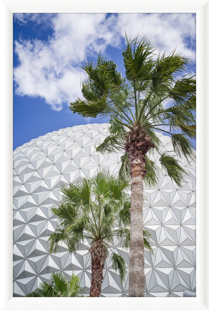 Spaceship Earth with Palms - A Tropical View of EPCOT