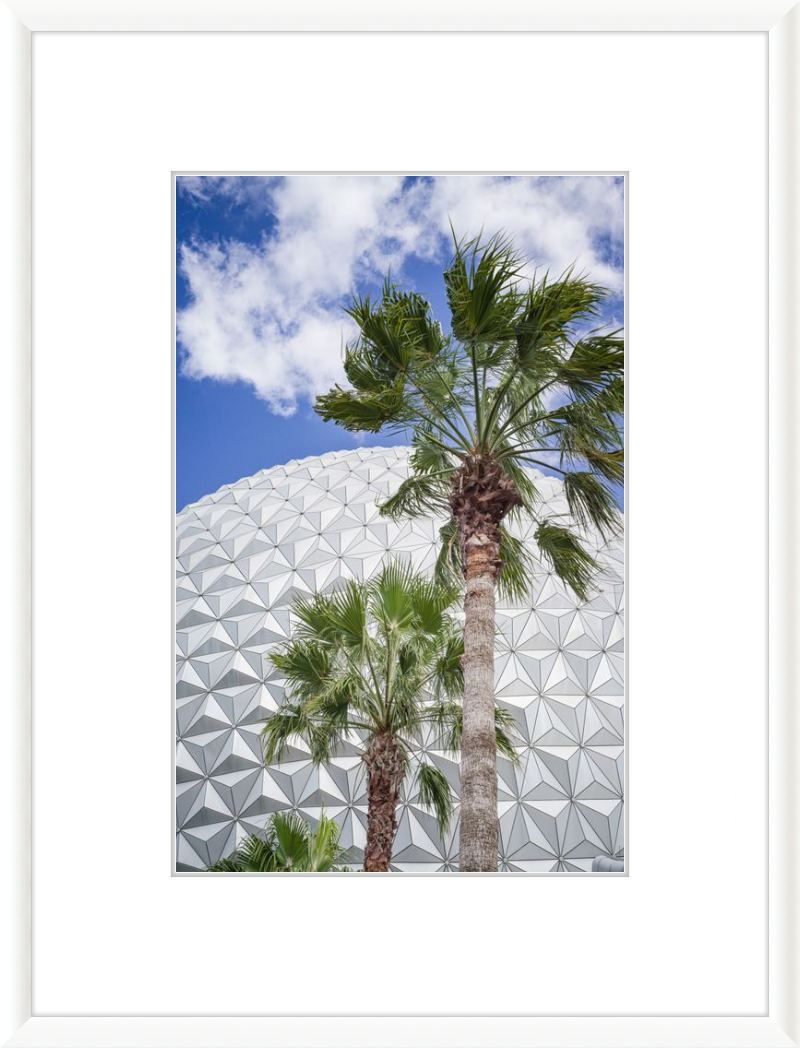 Spaceship Earth with Palms - A Tropical View of EPCOT