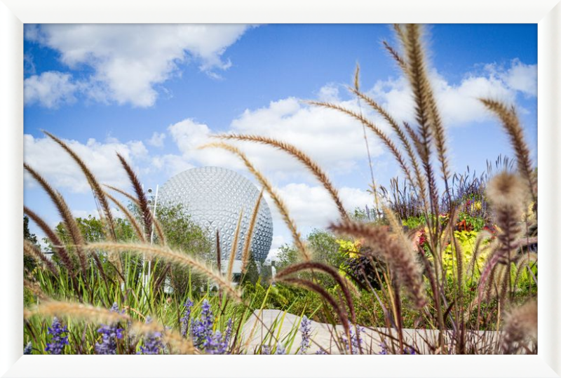 Spaceship Earth - EPCOT from the Gardens