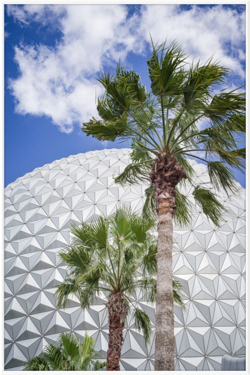 Spaceship Earth with Palms - A Tropical View of EPCOT