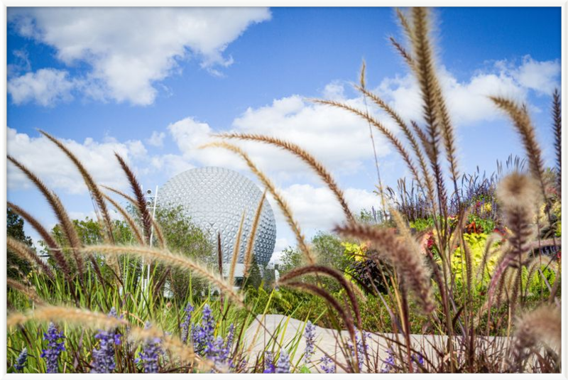 Spaceship Earth - EPCOT from the Gardens