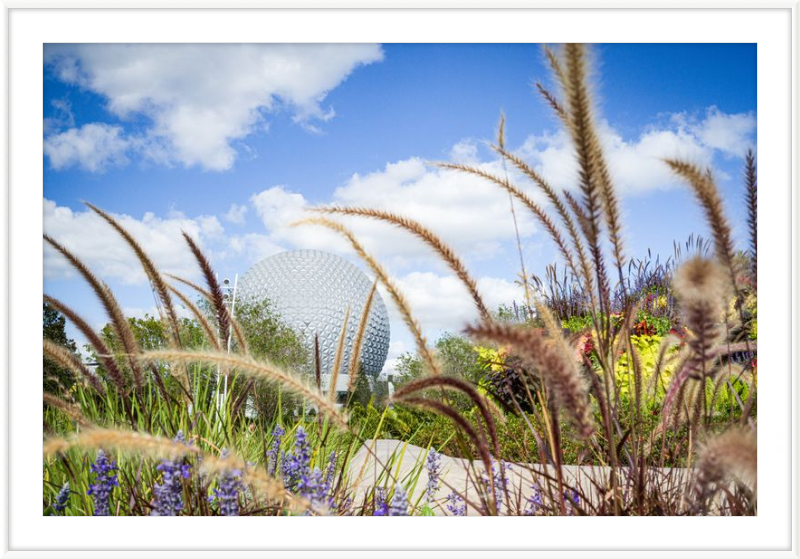 Spaceship Earth - EPCOT from the Gardens