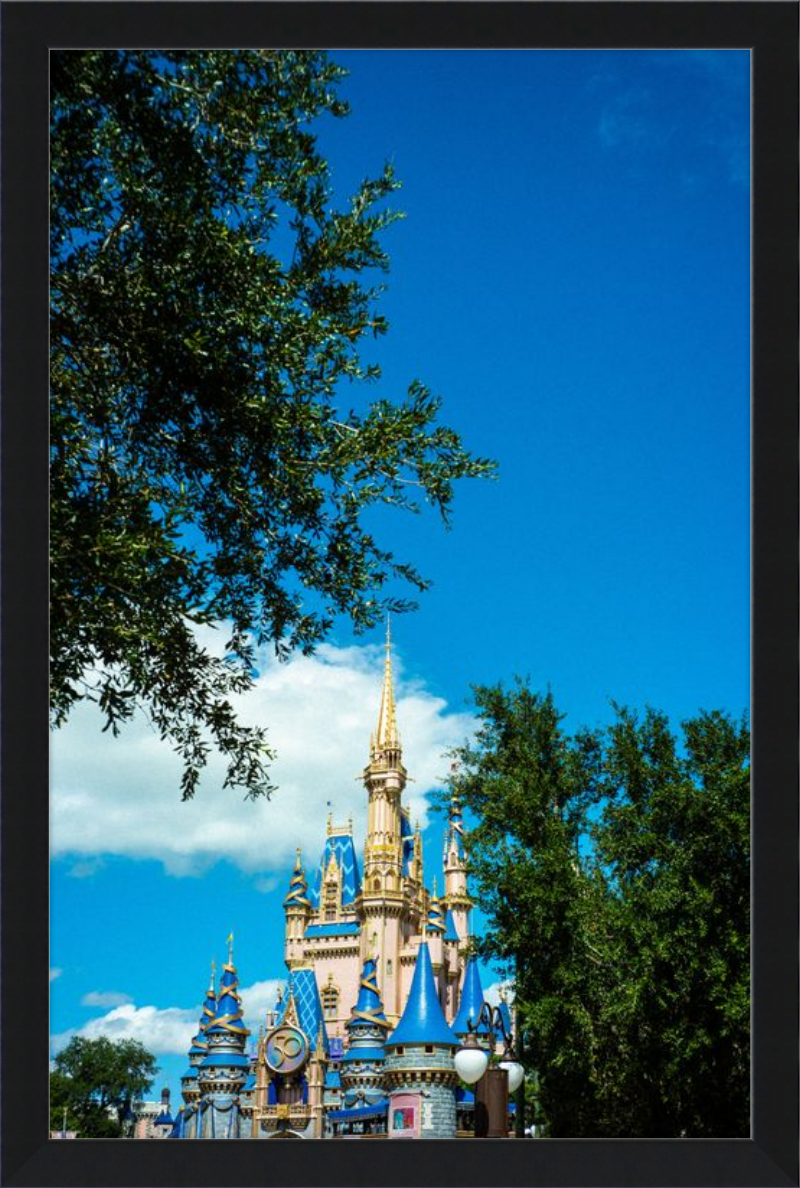 Cinderella Castle - A Magical View