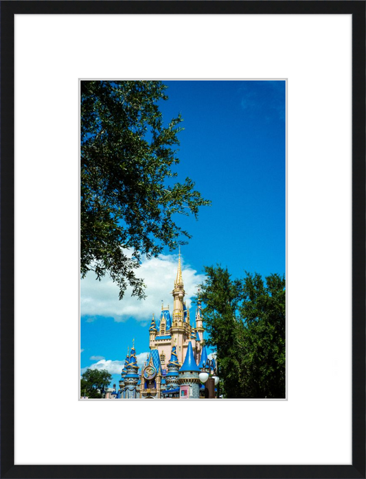 Cinderella Castle - A Magical View