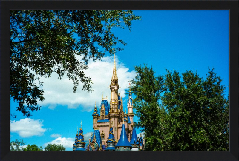 Cinderella Castle - Nature’s Frame