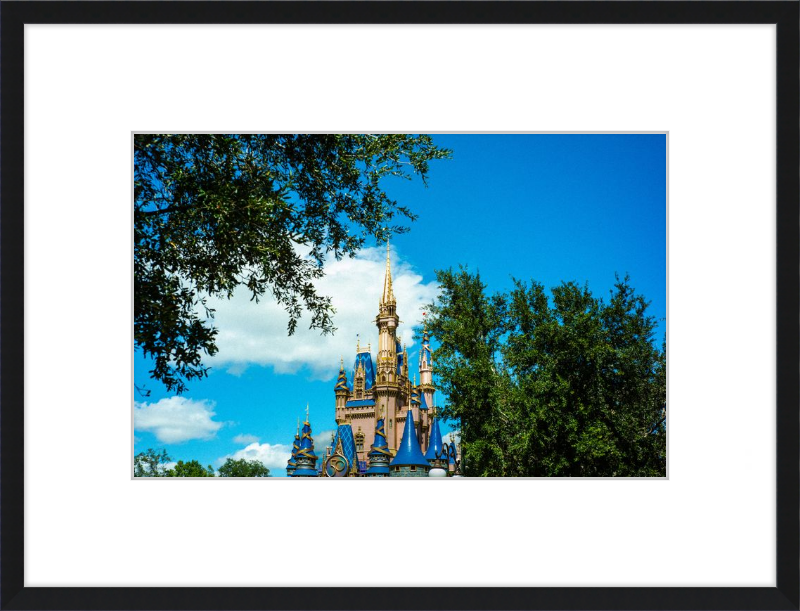 Cinderella Castle - Nature’s Frame