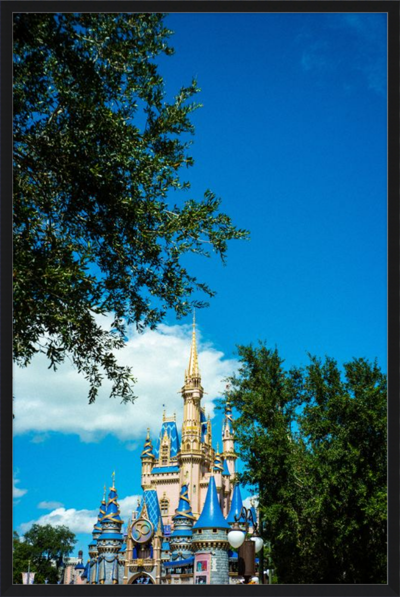 Cinderella Castle - A Magical View