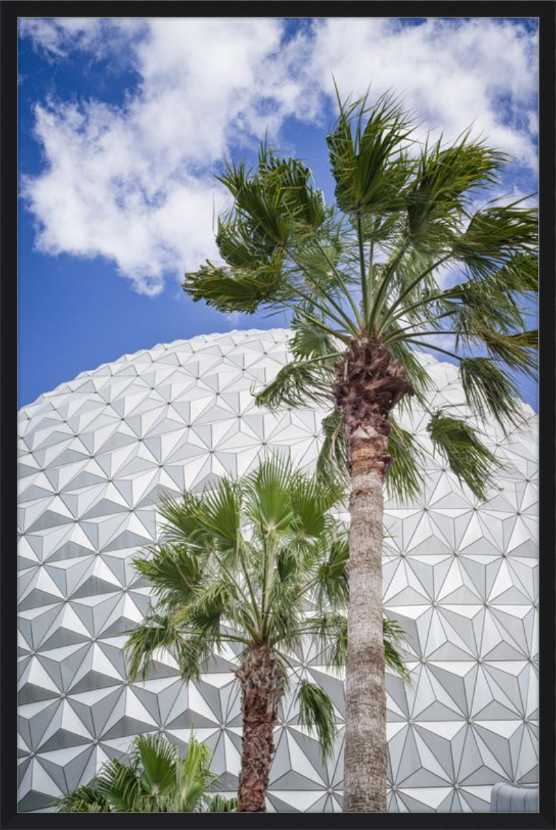 Spaceship Earth with Palms - A Tropical View of EPCOT