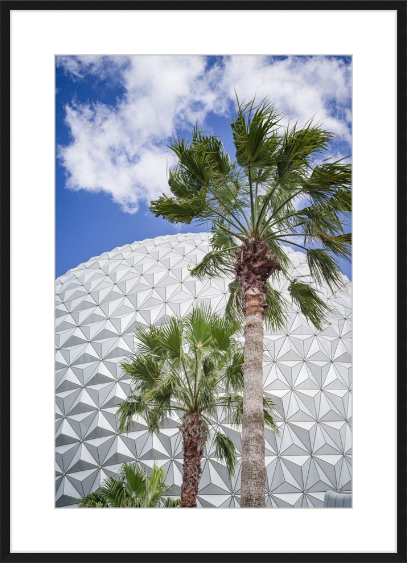 Spaceship Earth with Palms - A Tropical View of EPCOT