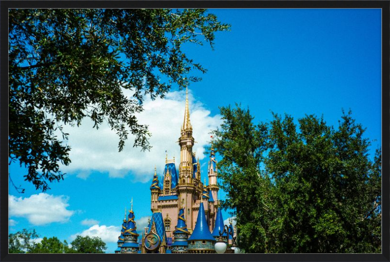 Cinderella Castle - Nature’s Frame