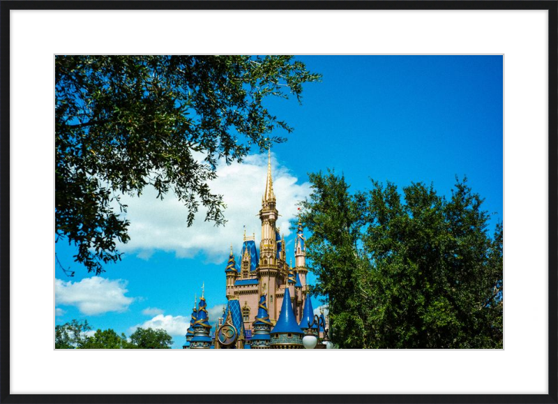 Cinderella Castle - Nature’s Frame