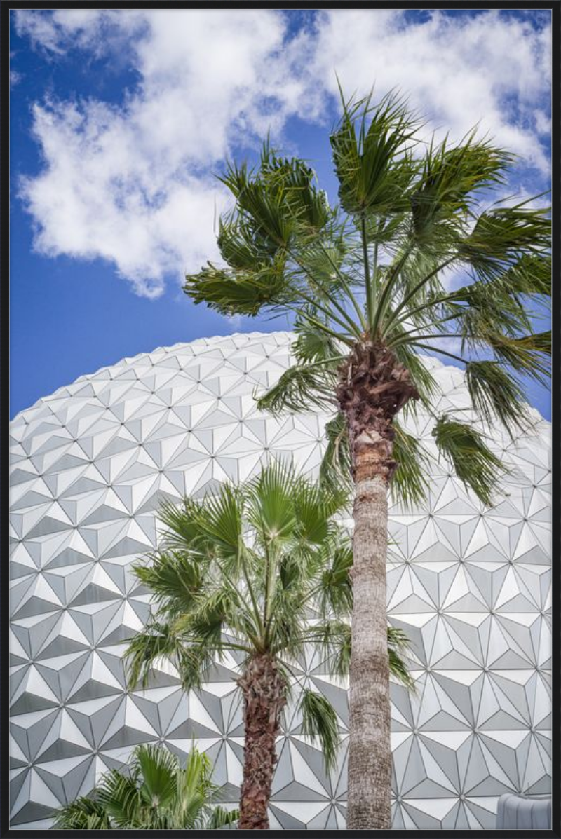 Spaceship Earth with Palms - A Tropical View of EPCOT