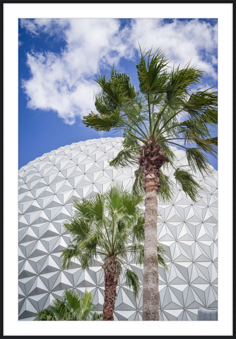 Spaceship Earth with Palms - A Tropical View of EPCOT