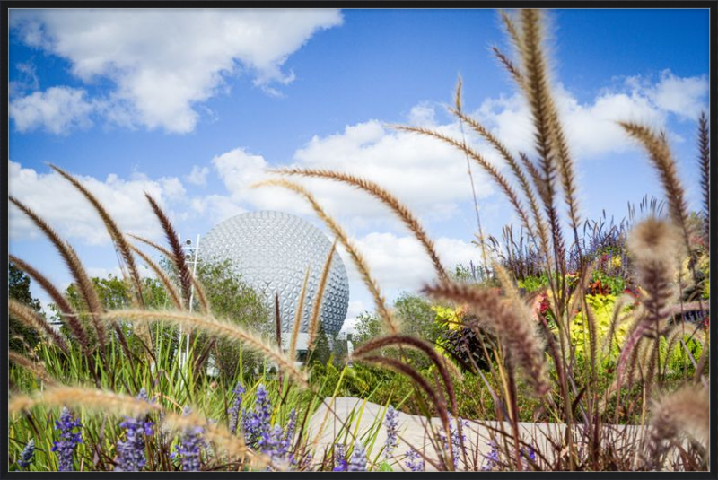 Spaceship Earth - EPCOT from the Gardens