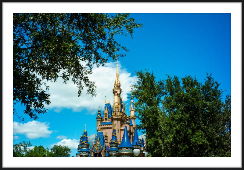 Cinderella Castle - Nature’s Frame