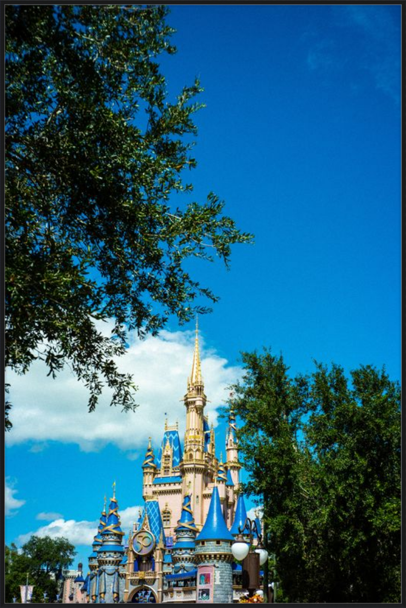 Cinderella Castle - A Magical View