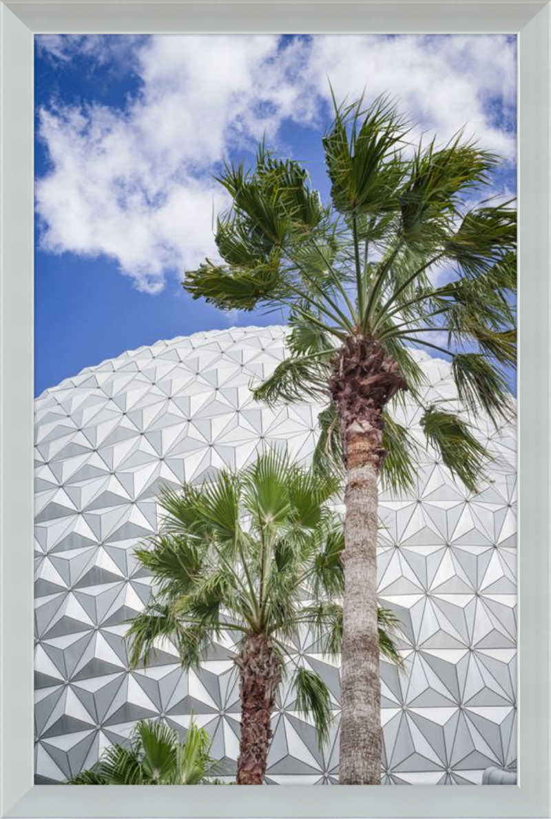 Spaceship Earth with Palms - A Tropical View of EPCOT