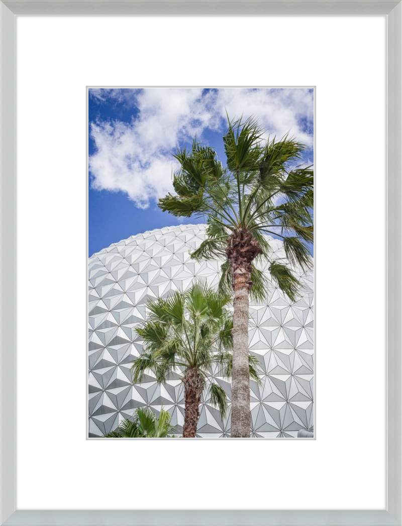 Spaceship Earth with Palms - A Tropical View of EPCOT