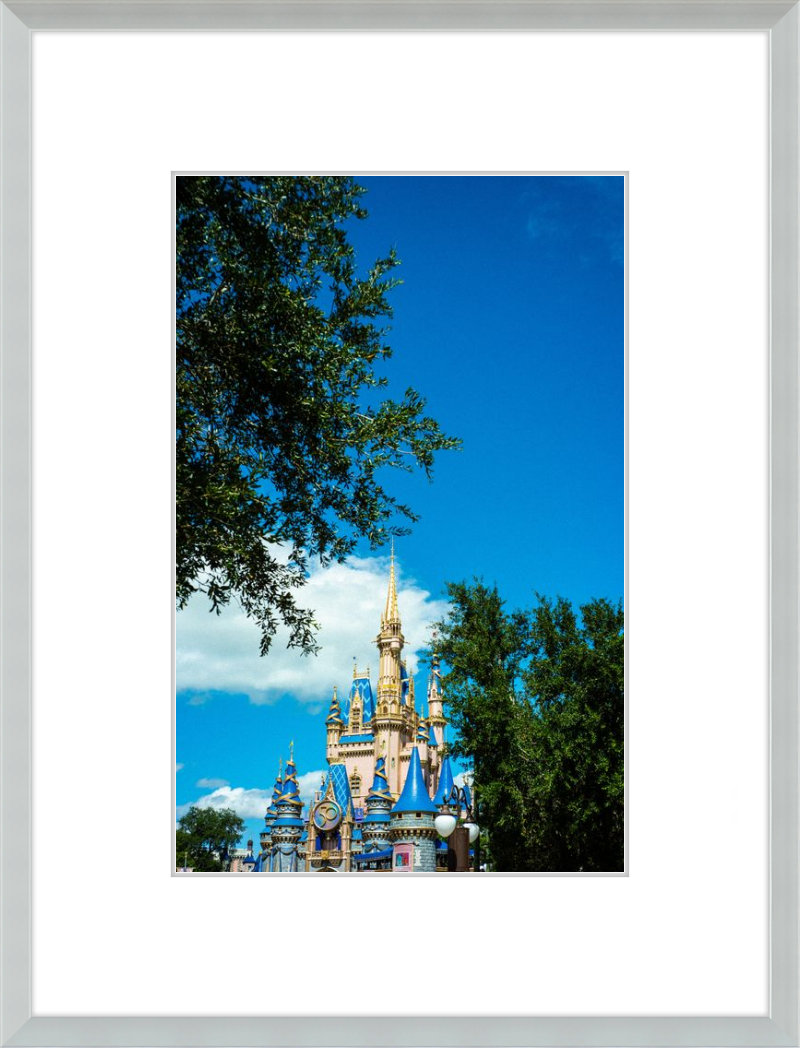 Cinderella Castle - A Magical View