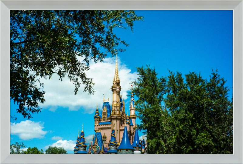 Cinderella Castle - Nature’s Frame