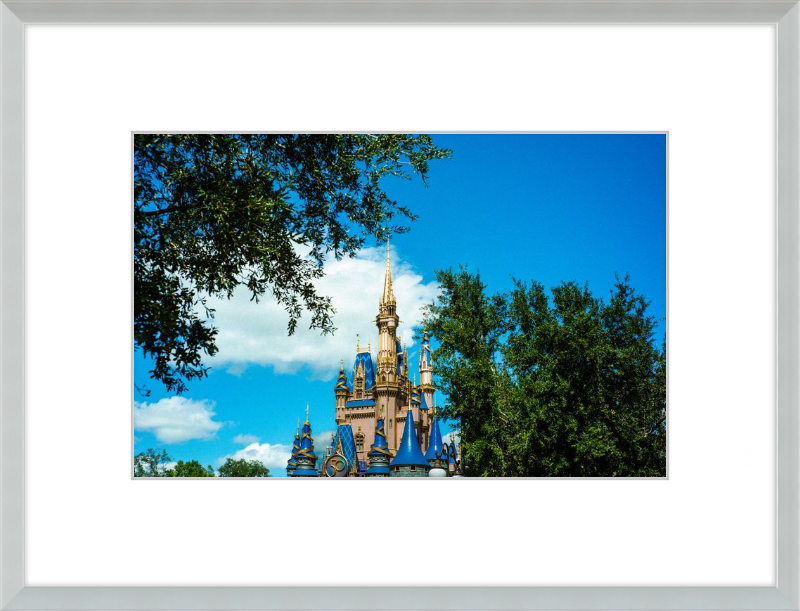 Cinderella Castle - Nature’s Frame