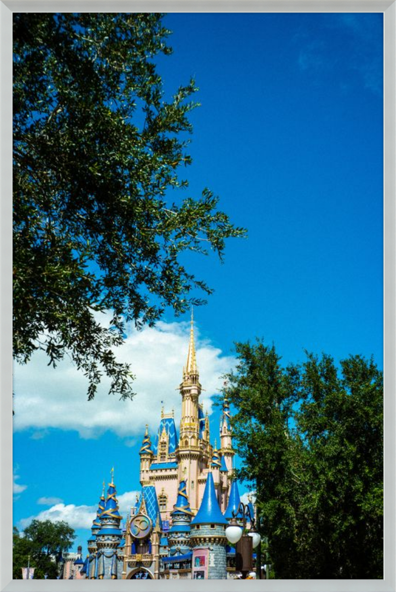 Cinderella Castle - A Magical View