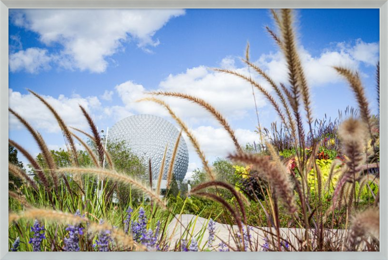 Spaceship Earth - EPCOT from the Gardens