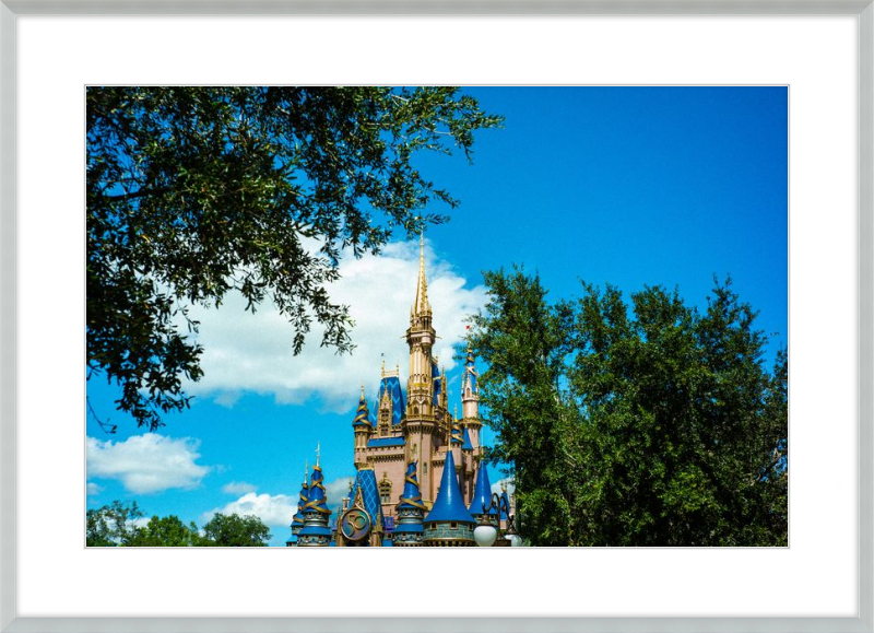 Cinderella Castle - Nature’s Frame