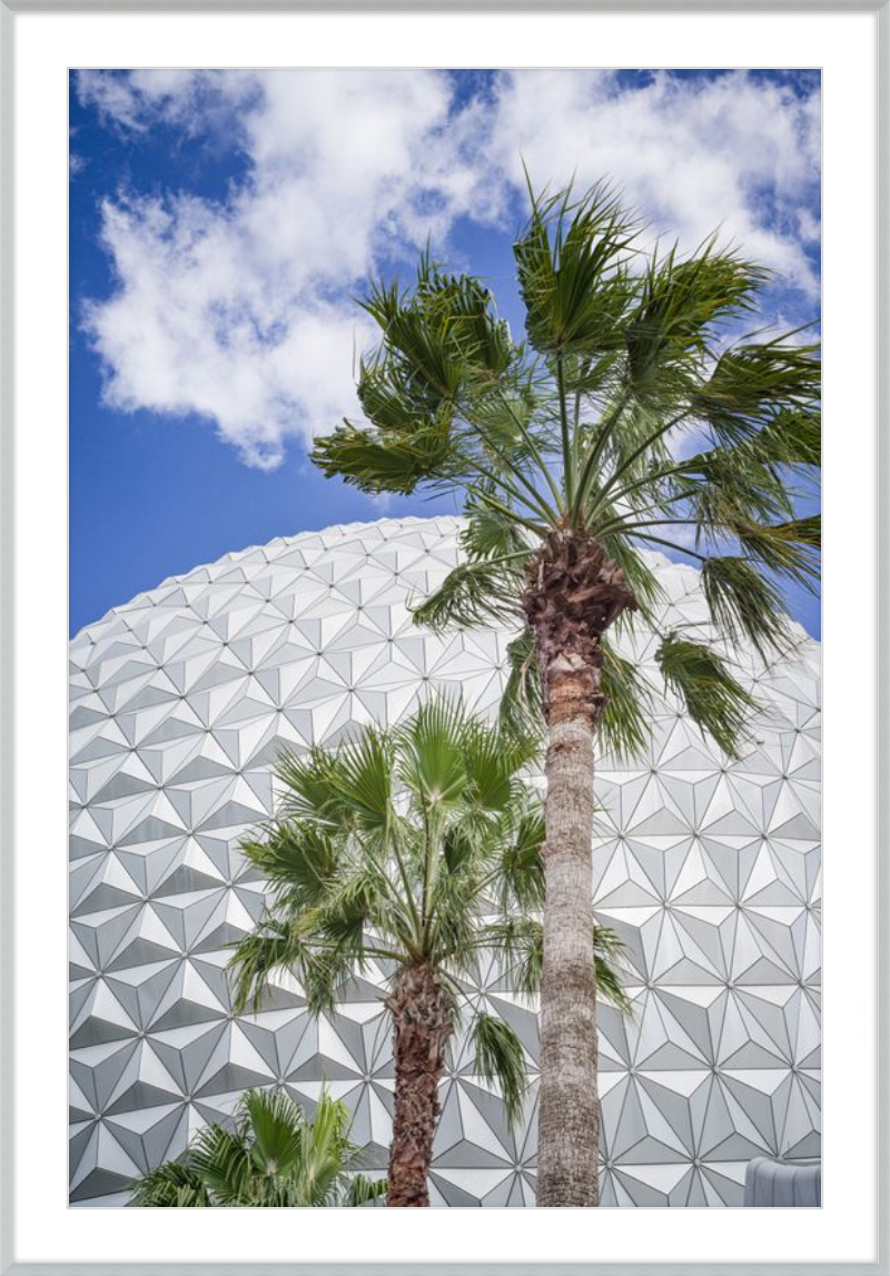 Spaceship Earth with Palms - A Tropical View of EPCOT