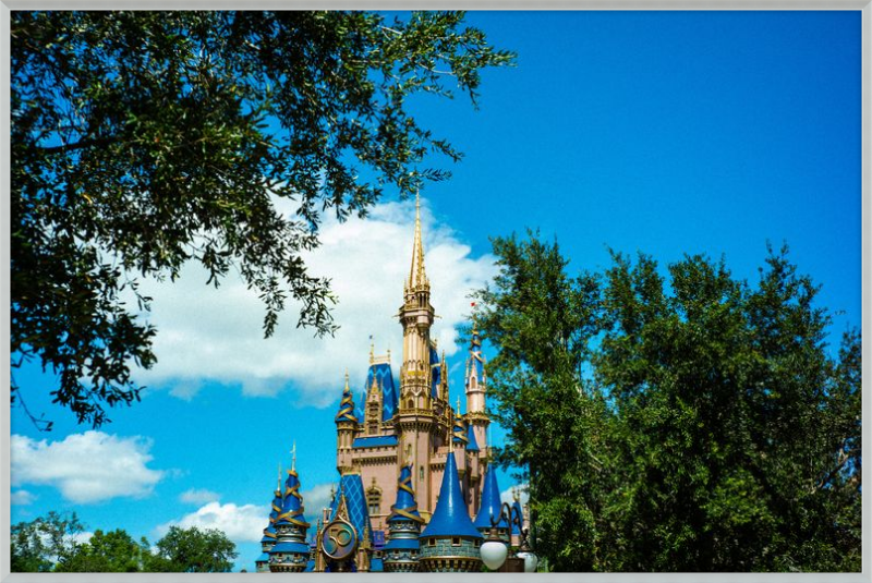 Cinderella Castle - Nature’s Frame