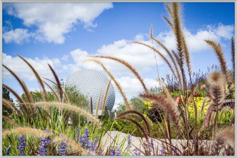 Spaceship Earth - EPCOT from the Gardens