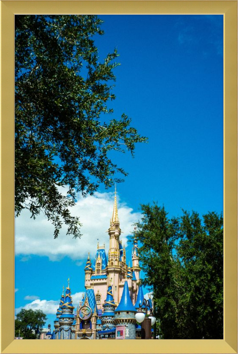 Cinderella Castle - A Magical View