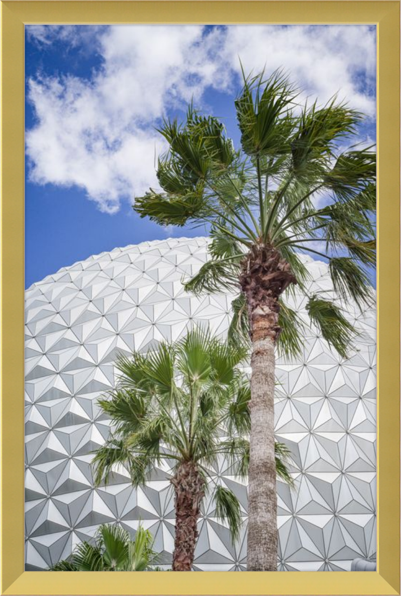 Spaceship Earth with Palms - A Tropical View of EPCOT