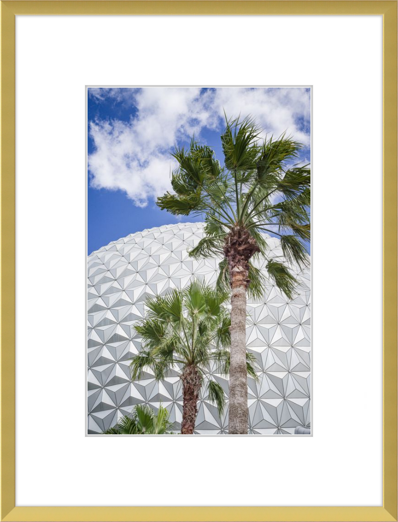 Spaceship Earth with Palms - A Tropical View of EPCOT